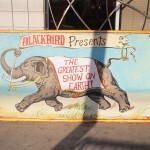 Blackbird Studios - The Greatest Show on Earth